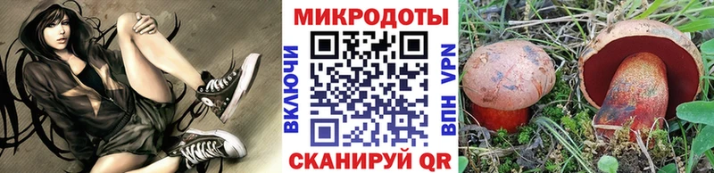 Галлюциногенные грибы Psilocybe  KRAKEN ССЫЛКА  Данилов 